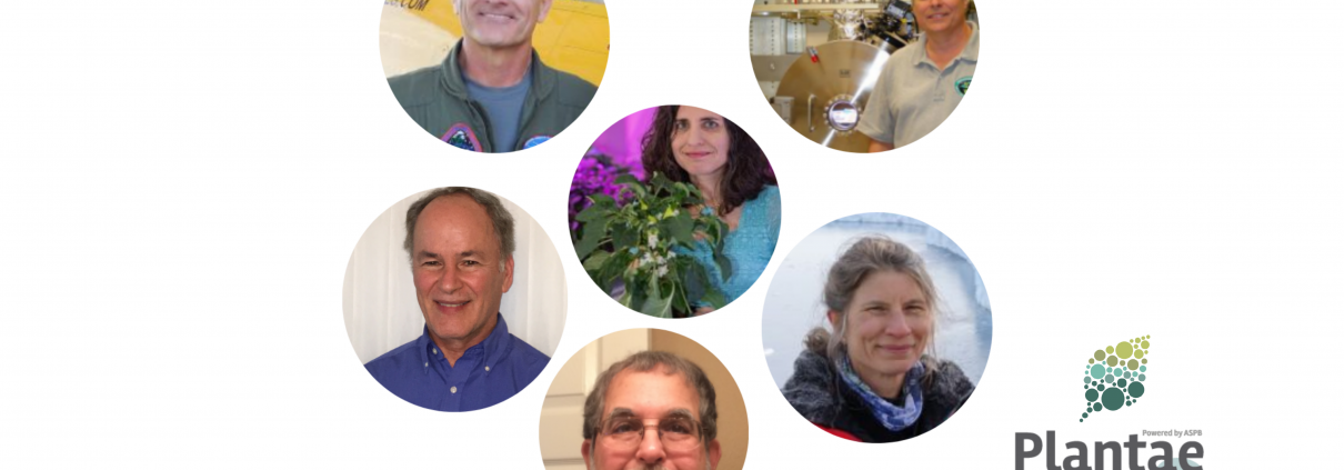 Plantae Webinar graphic with headshots of all panelists compiled together