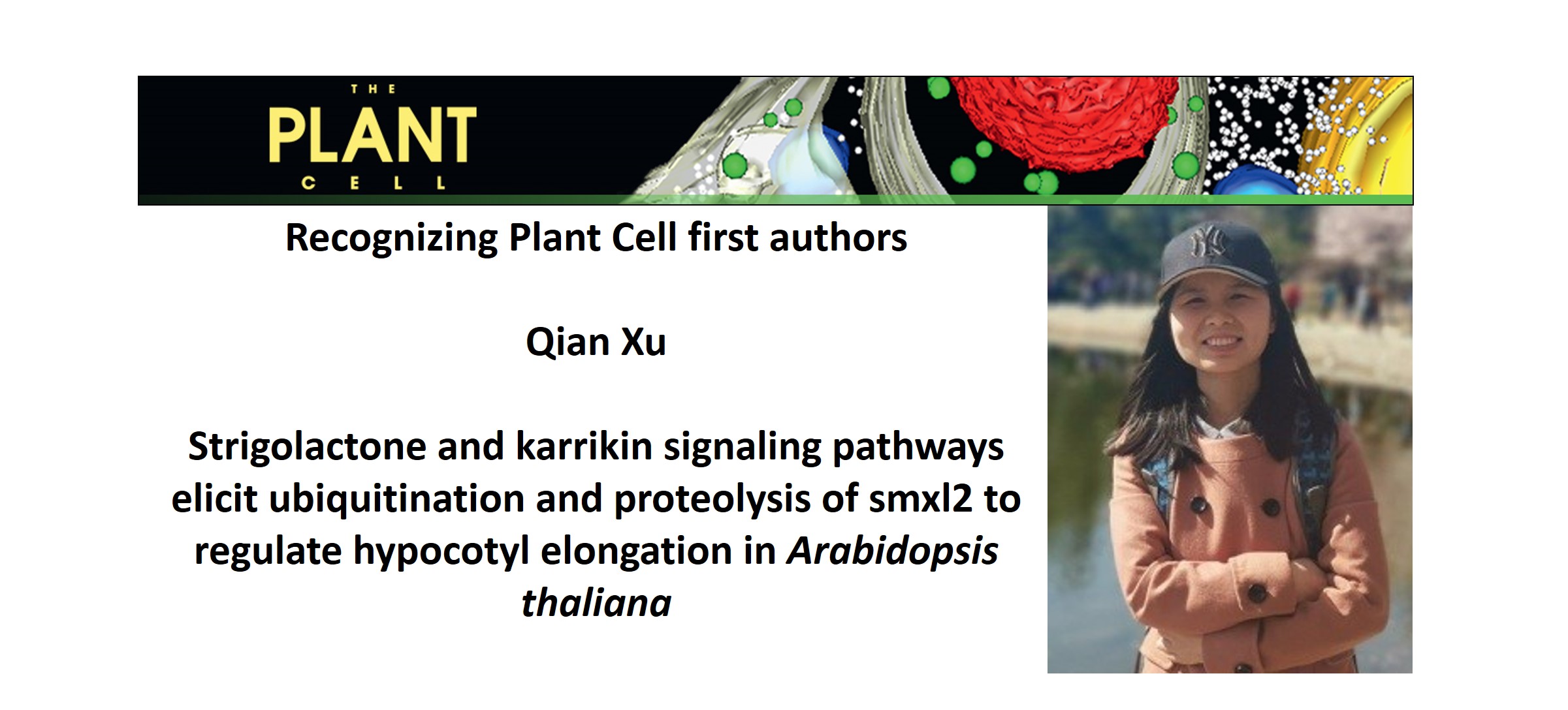 Recognizing Plant Cell authors: Qian Xu | Plantae