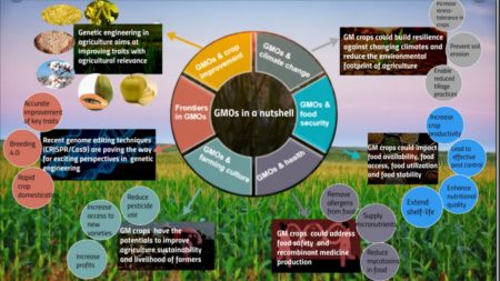 The Future of Our Food Systems: Insights into GMOs Plantae