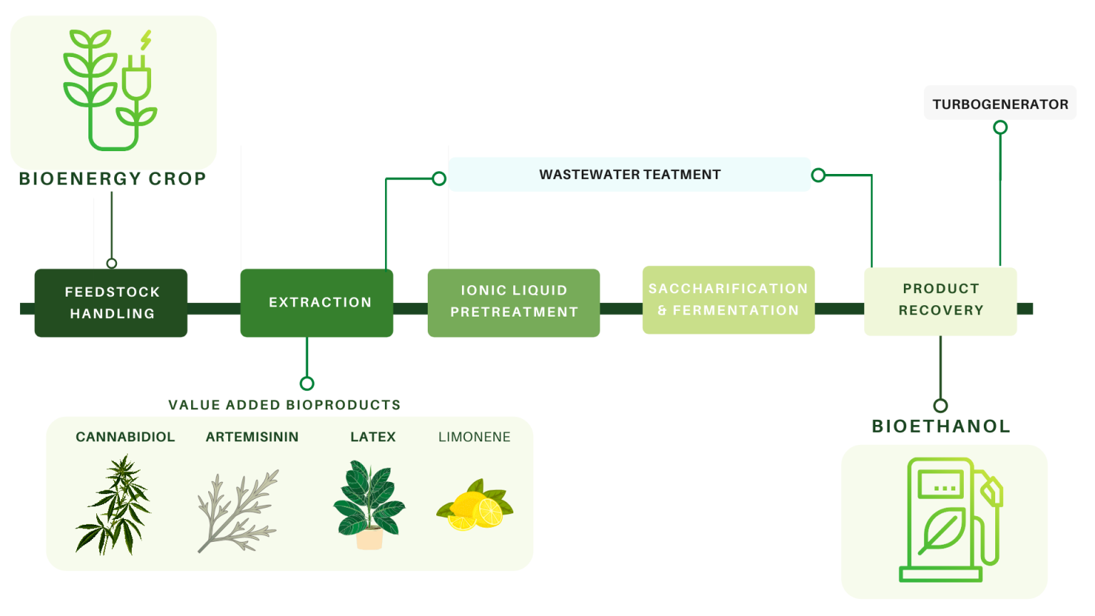 Accumulation Of High Value Bioproducts In Planta Can Improve The ...