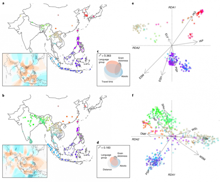 Genomic history and ecology of the geographic spread of rice (Nature ...