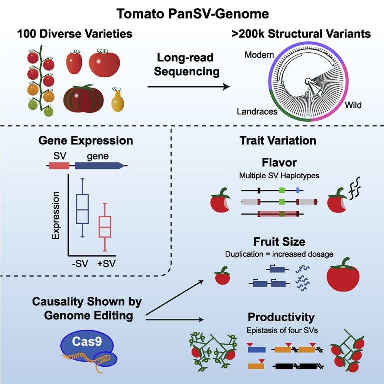 Plantae | Plant Science Research Weekly: June 26th | Plantae