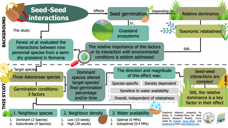 Influential Neighbours: Seeds Of Dominant Species Affect The ...