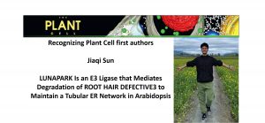 Recognizing Plant Cell authors Jiaqi Sun Plantae