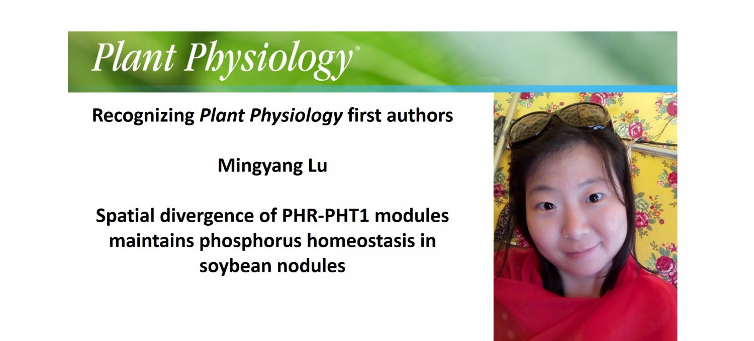 Recognizing Plant Physiology authors: Mingyang Lu | Plantae