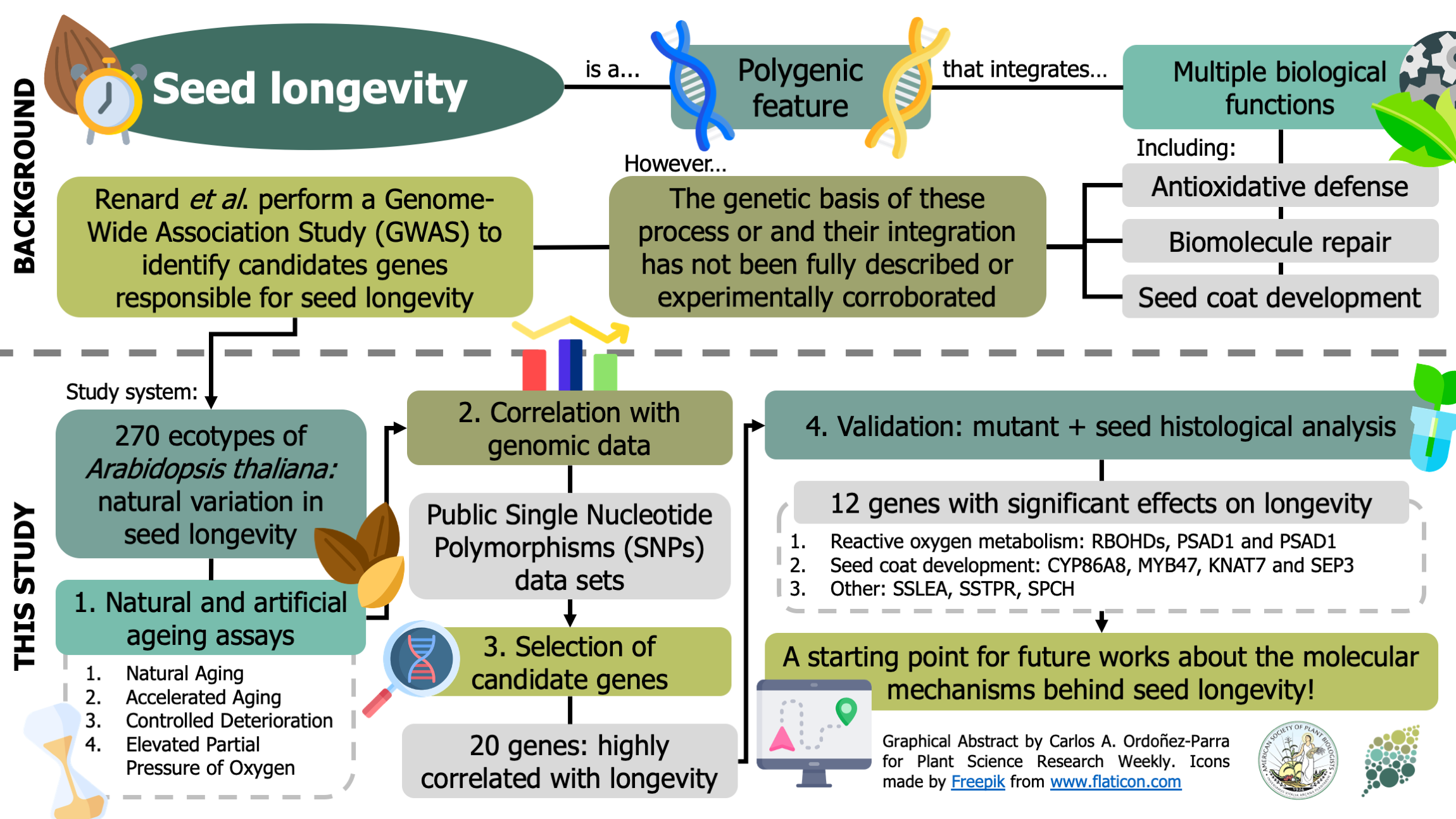 II. Factors Affecting Seed Longevity 