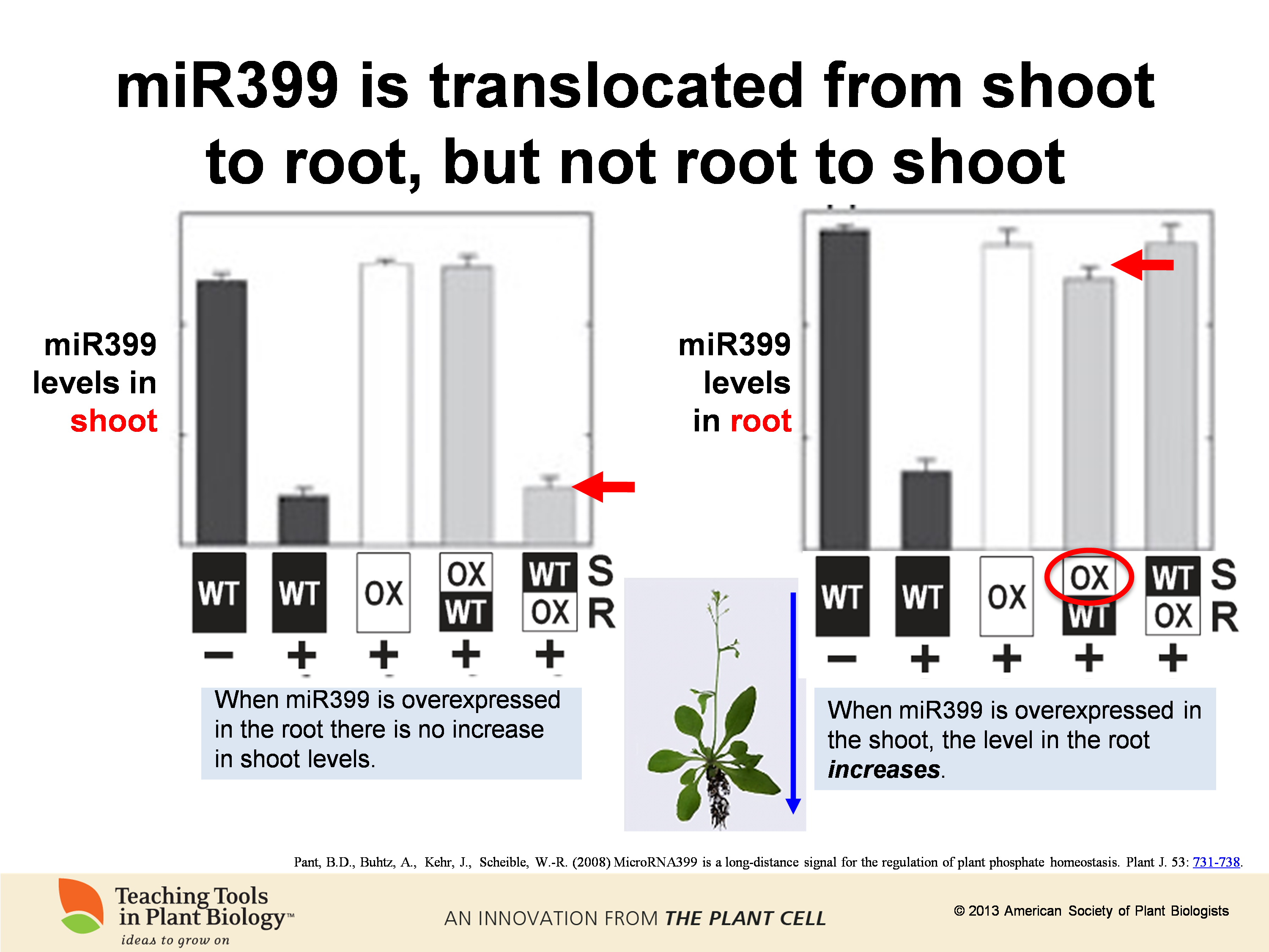 Plantae 培养下一代的植物学家 创新性的教学工具the Plant Teaching Tools Plantae