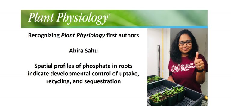 phd thesis plant physiology