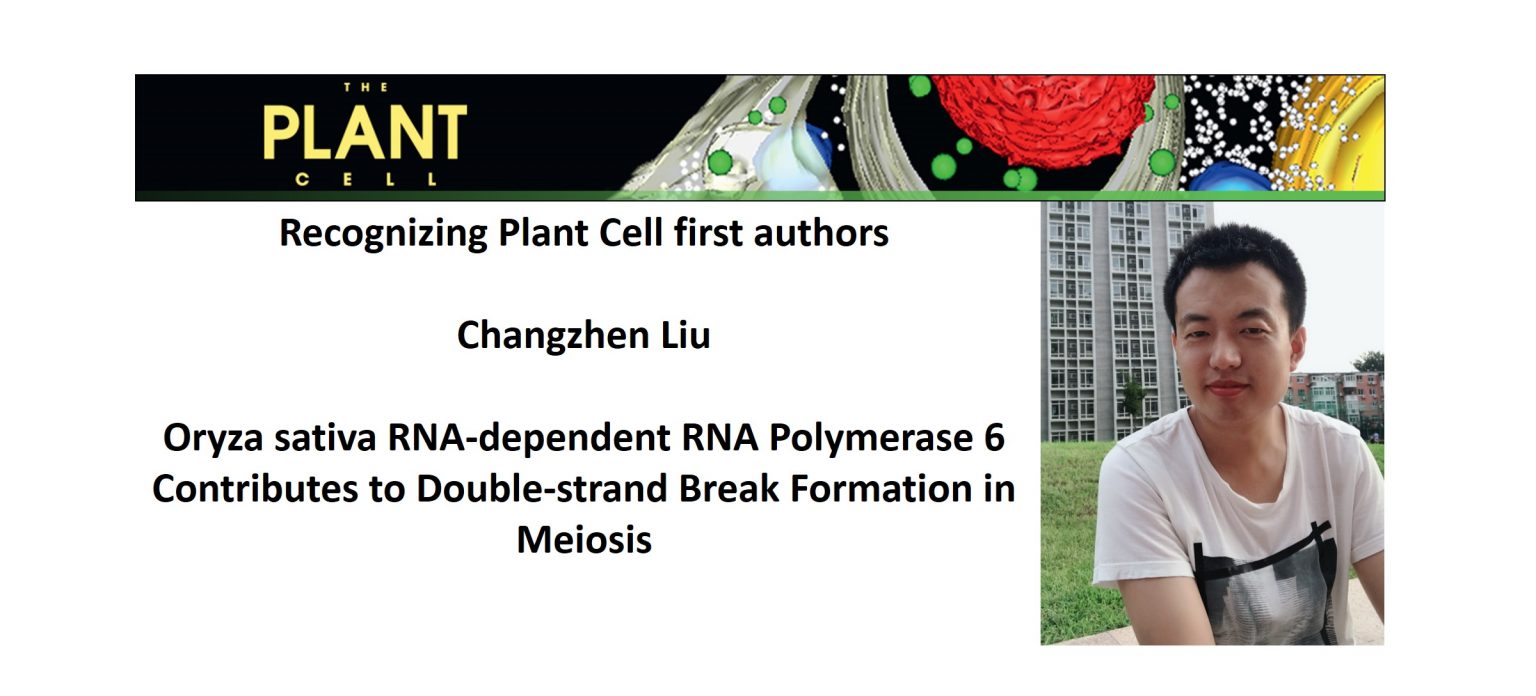 Recognizing Plant Cell authors: Changzhen Liu | Plantae