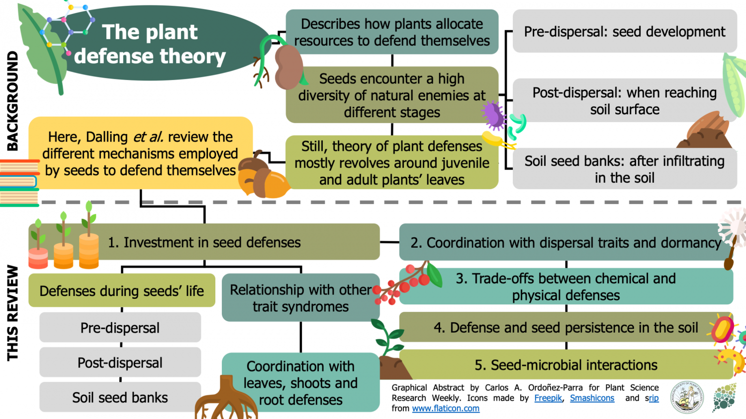 Review: Extending Plant Defense Theory To Seeds (Annu. Rev. Ecol. Evol ...