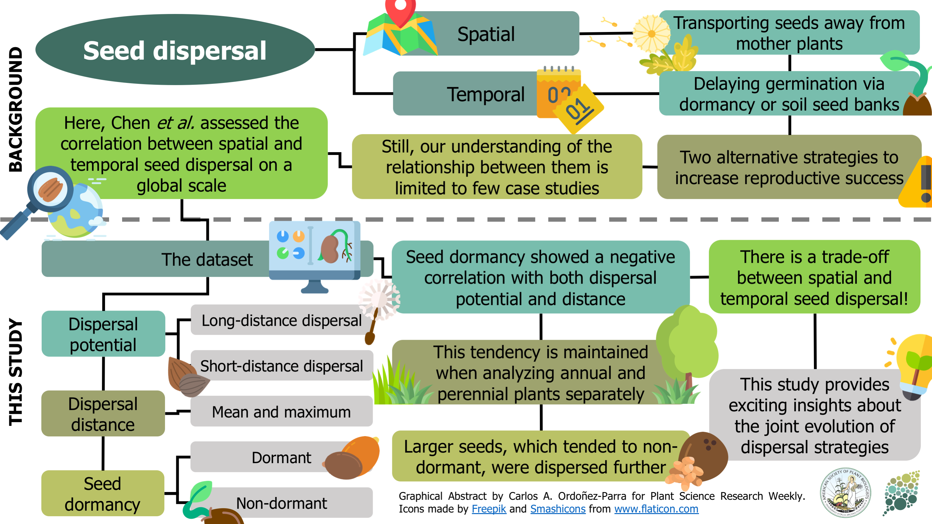 plantae-review-trade-off-between-seed-dispersal-in-space-and-time