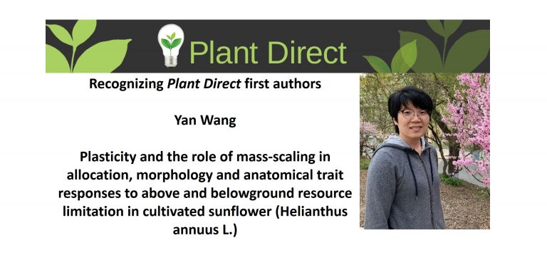Recognizing Plant Direct authors: Yan Wang | Plantae