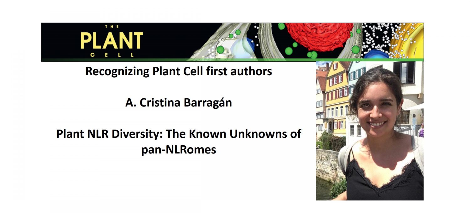 Recognizing Plant Cell authors A. Cristina Barragán Plantae