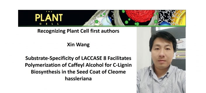 Recognizing Plant Cell authors: Xin Wang | Plantae