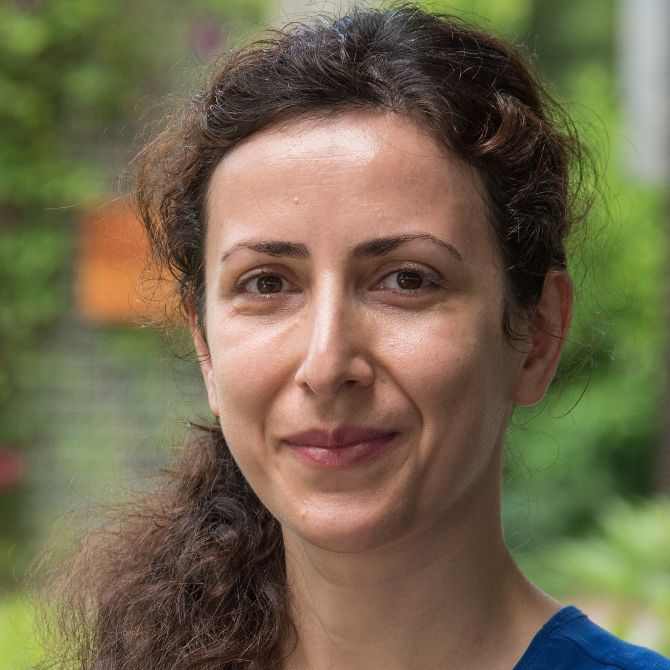 Plantae Recognizing Plant Direct authors Maryam Rahmati Ishka Plantae