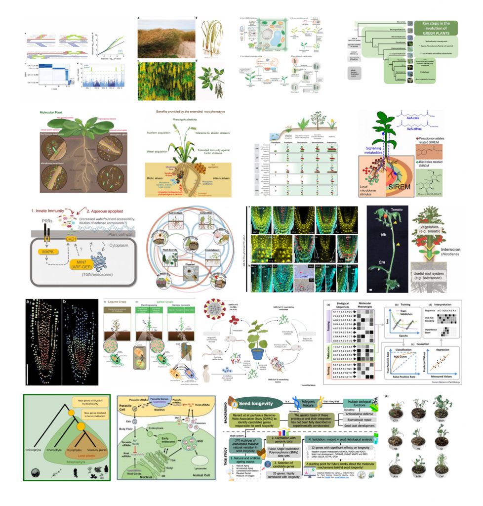 research about plant science