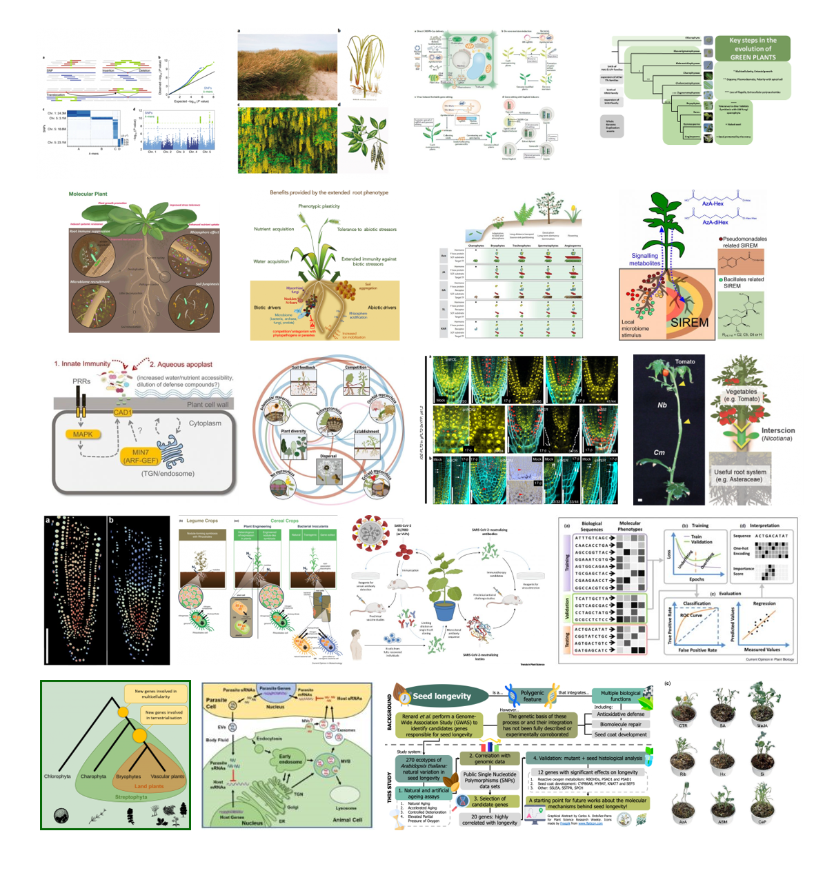 biology research topics plants