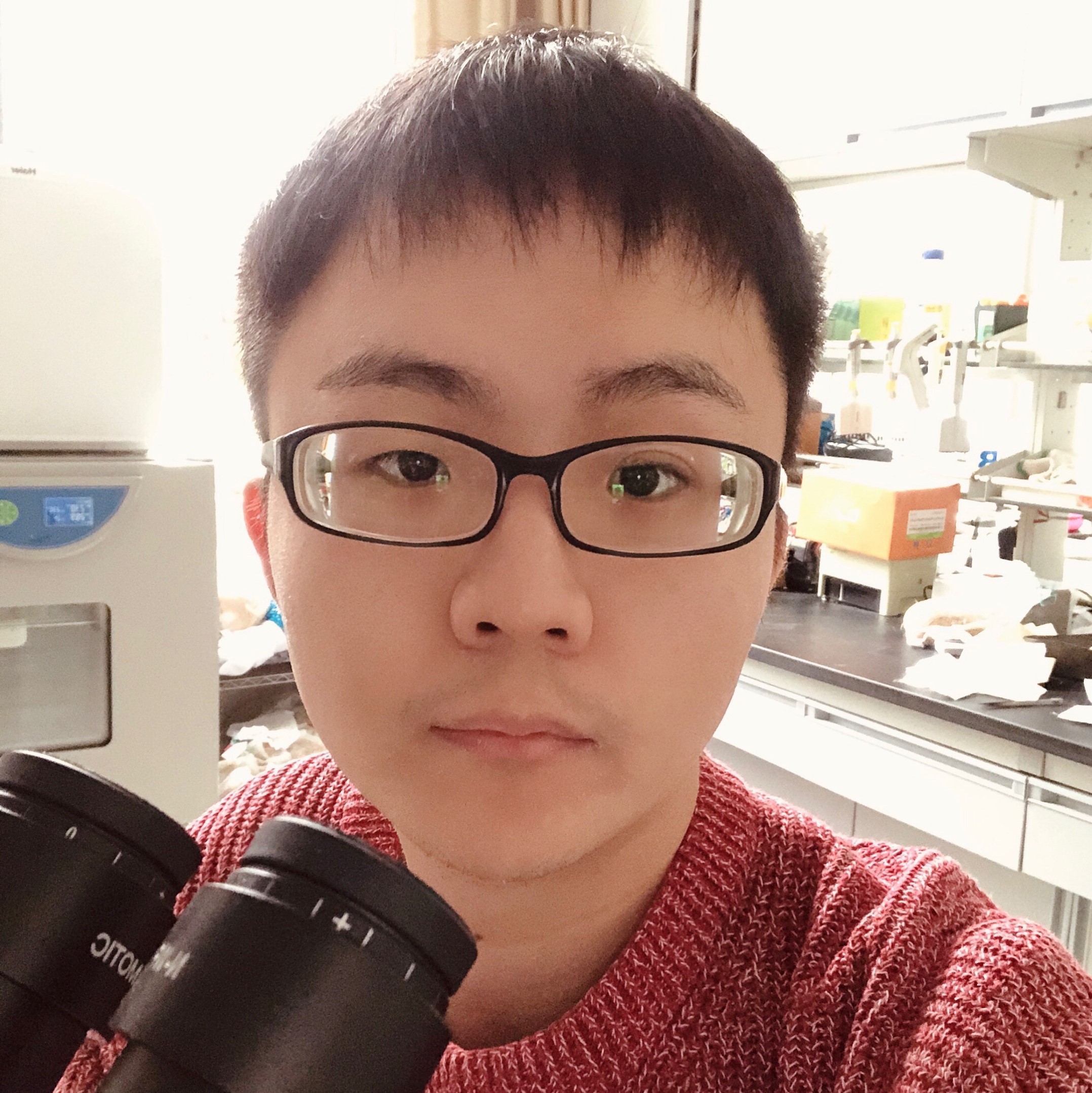 Recognizing Plant Physiology authors Xinyu Xu Plantae