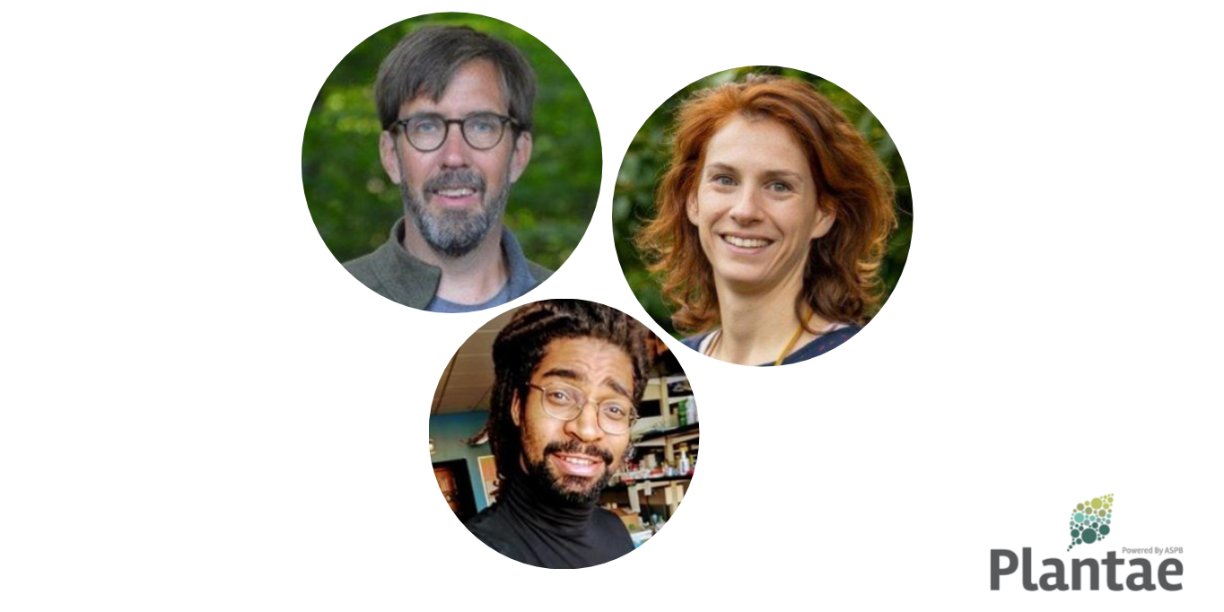 plantae-presents-eric-schranz-and-caroline-pont-plantae