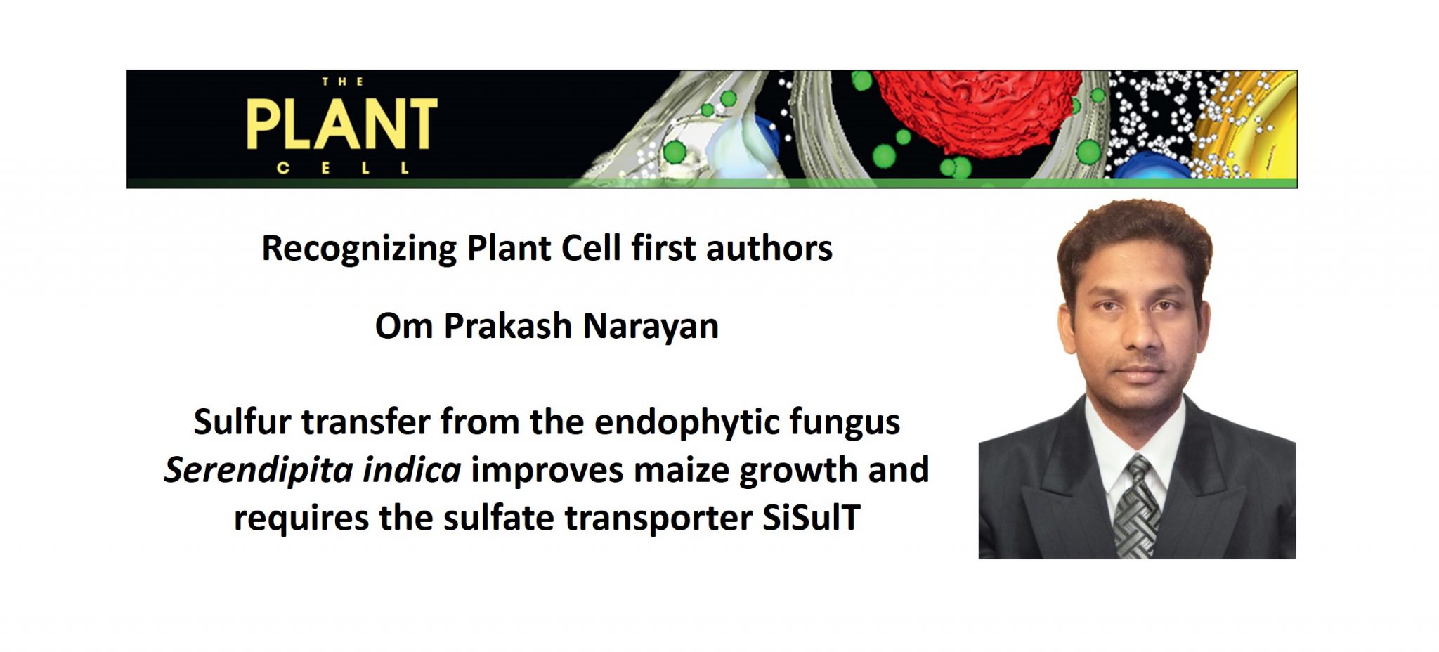 Recognizing Plant Cell authors: Om Prakash Narayan | Plantae