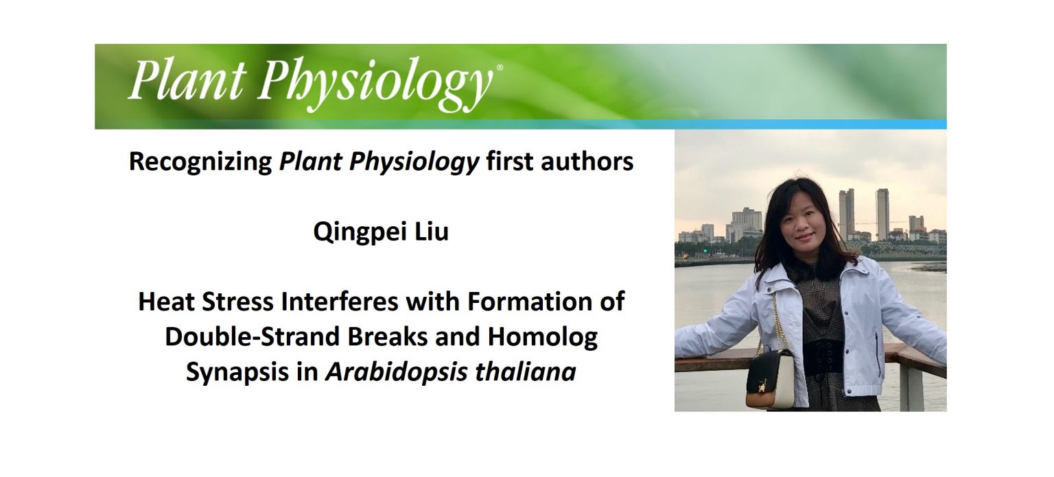 Recognizing Plant Physiology authors: Qingpei Liu | Plantae