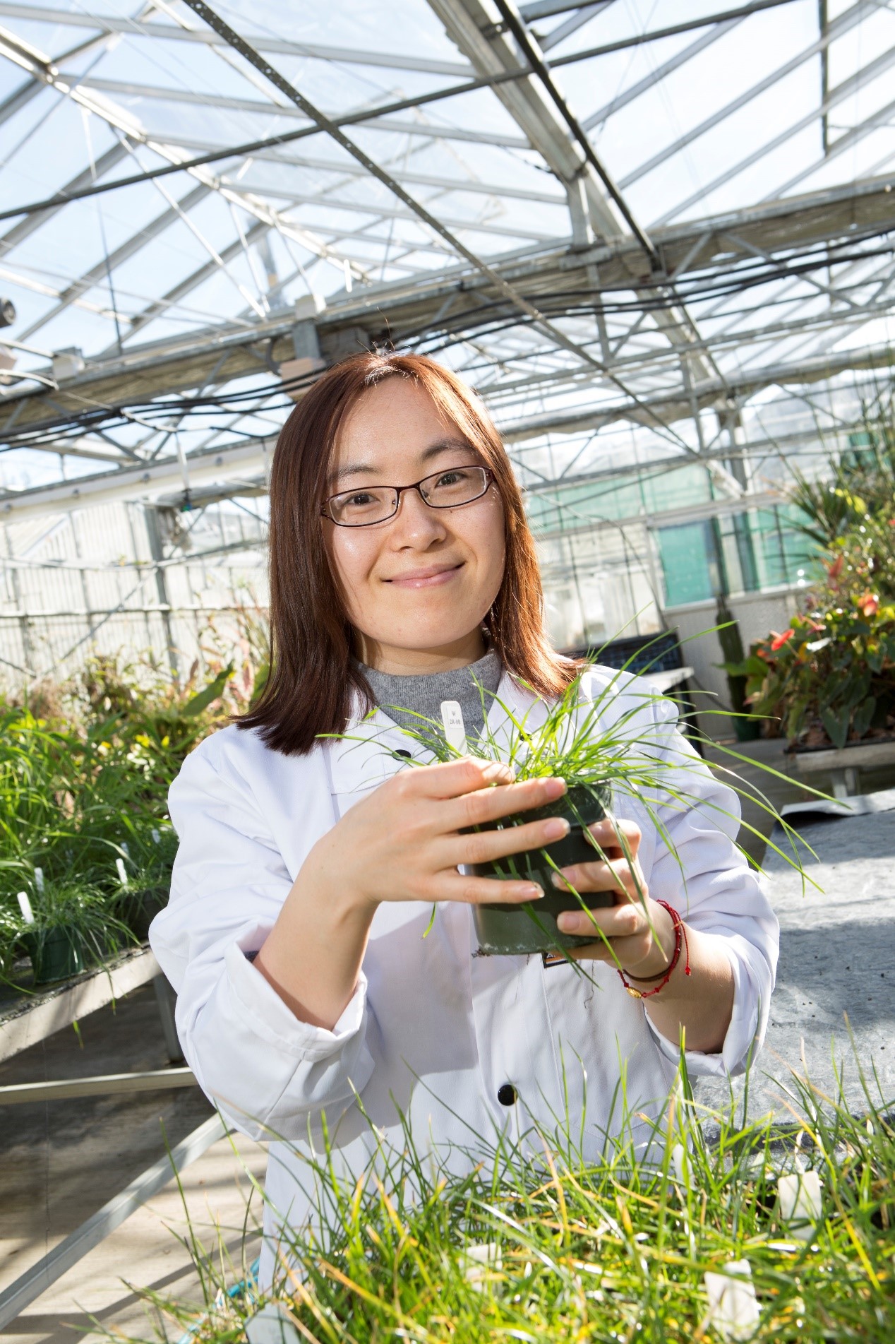 plantae-recognizing-plant-physiology-author-qianqian-guo-plantae