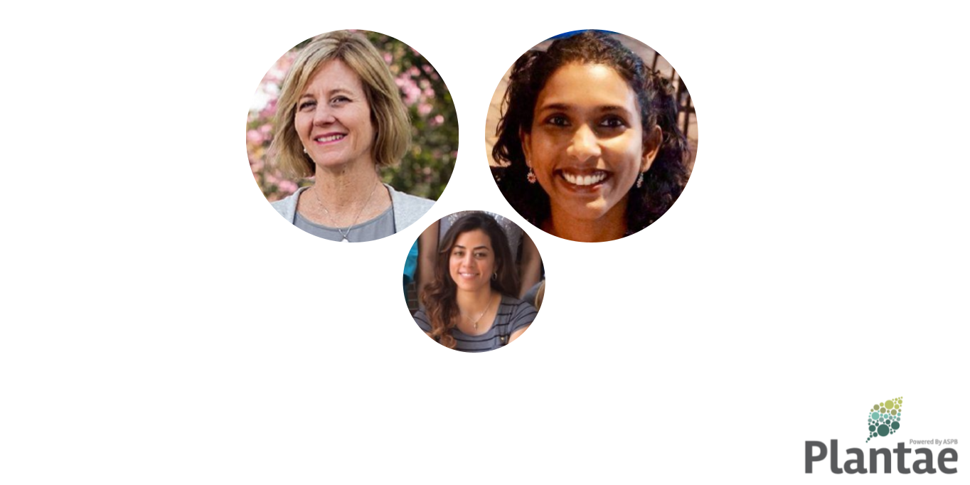 Plantae Presents Julia BaileySerres and Rashmi Sasidharan Plantae
