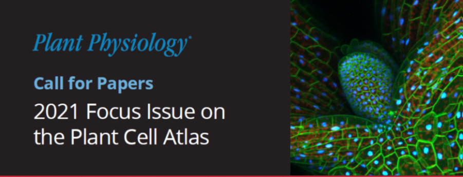 Plantae | Plant Call for Papers: 2021 Focus Issue on the Cell Atlas | Plantae