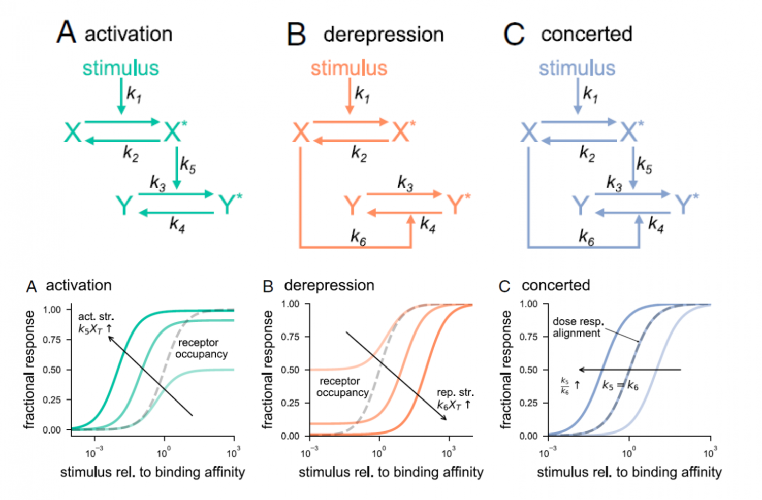 Plantae Molecular switch architecture determines response properties