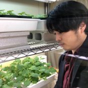 Recognizing The Plant Cell author Shohei Nosaki | Plantae