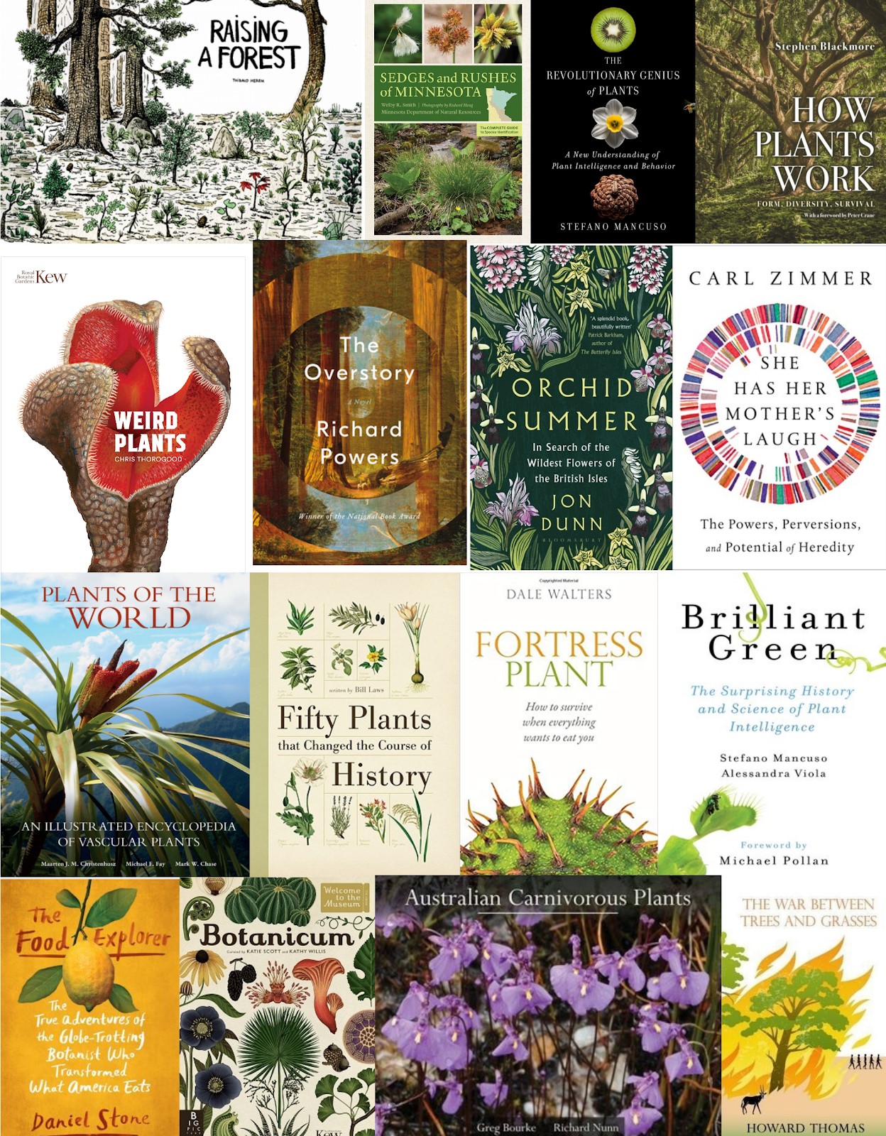 Book Plant Sciences Plantae
