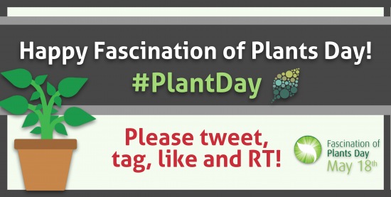 Fascination of Plants Day | Plantae