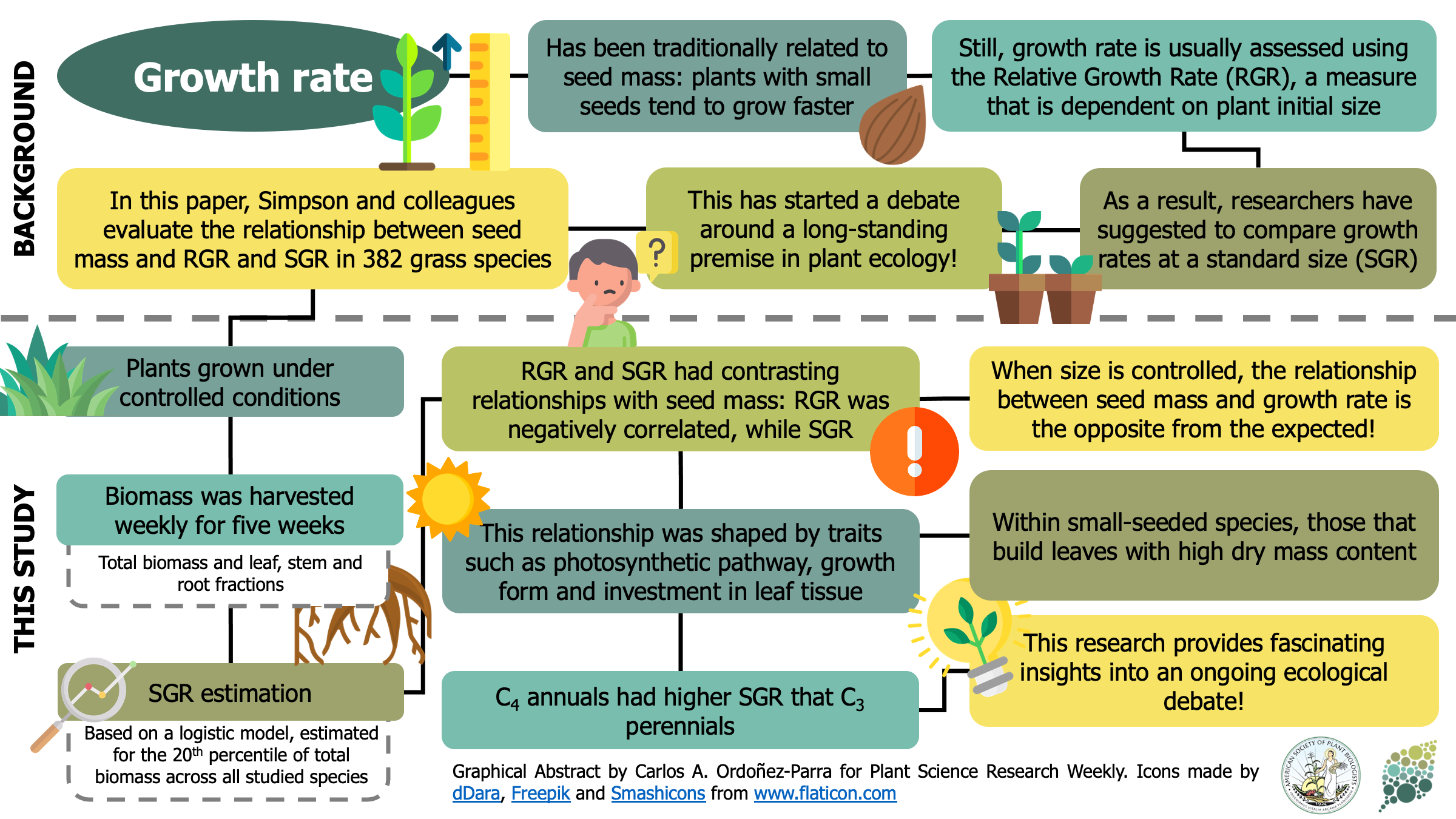 Plantae | Large seeds provide intrinsic growth advantage that depends on  leaf traits and root allocation (Funct. Ecol.) | Plantae