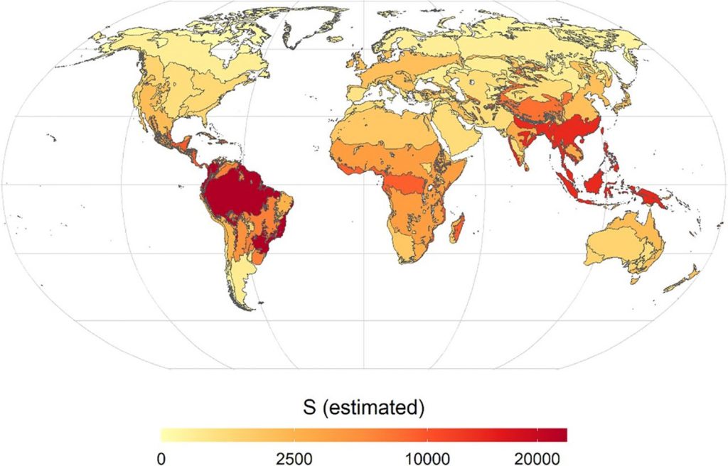 Plantae How many tree species are there? (PNAS) Plantae