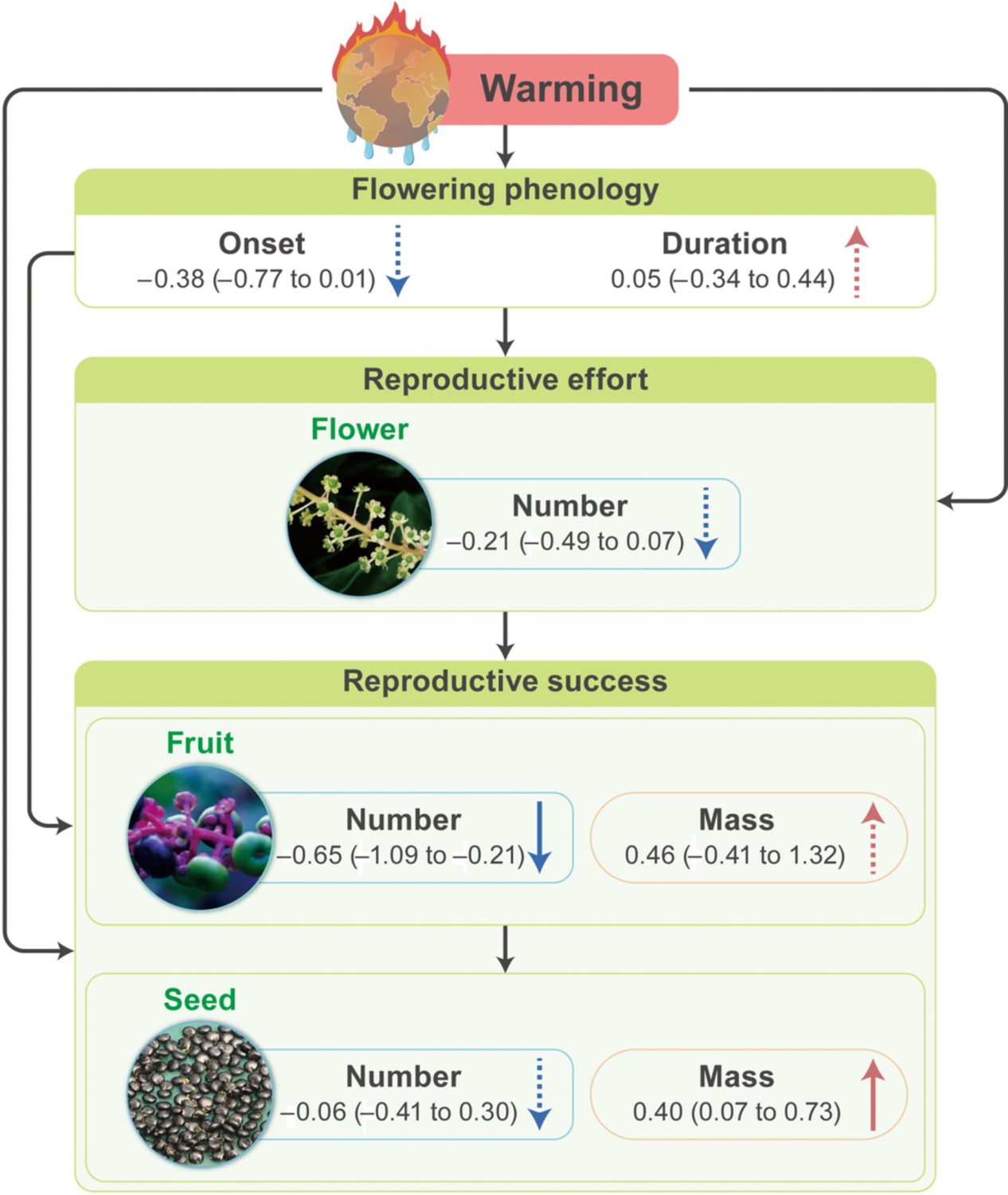 simulated-climate-warming-decreases-fruit-number-but-increases-seed