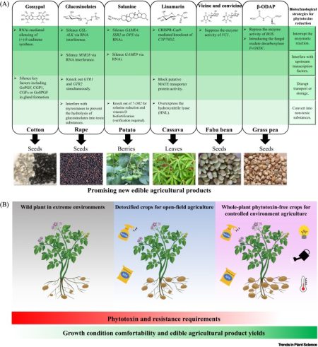 Review: One plant’s poison | Plantae