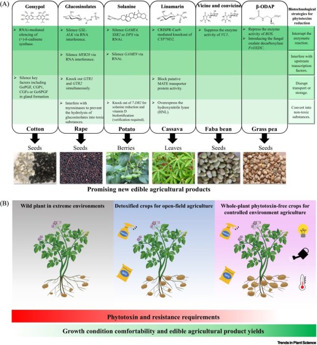 Review: One plant’s poison | Plantae