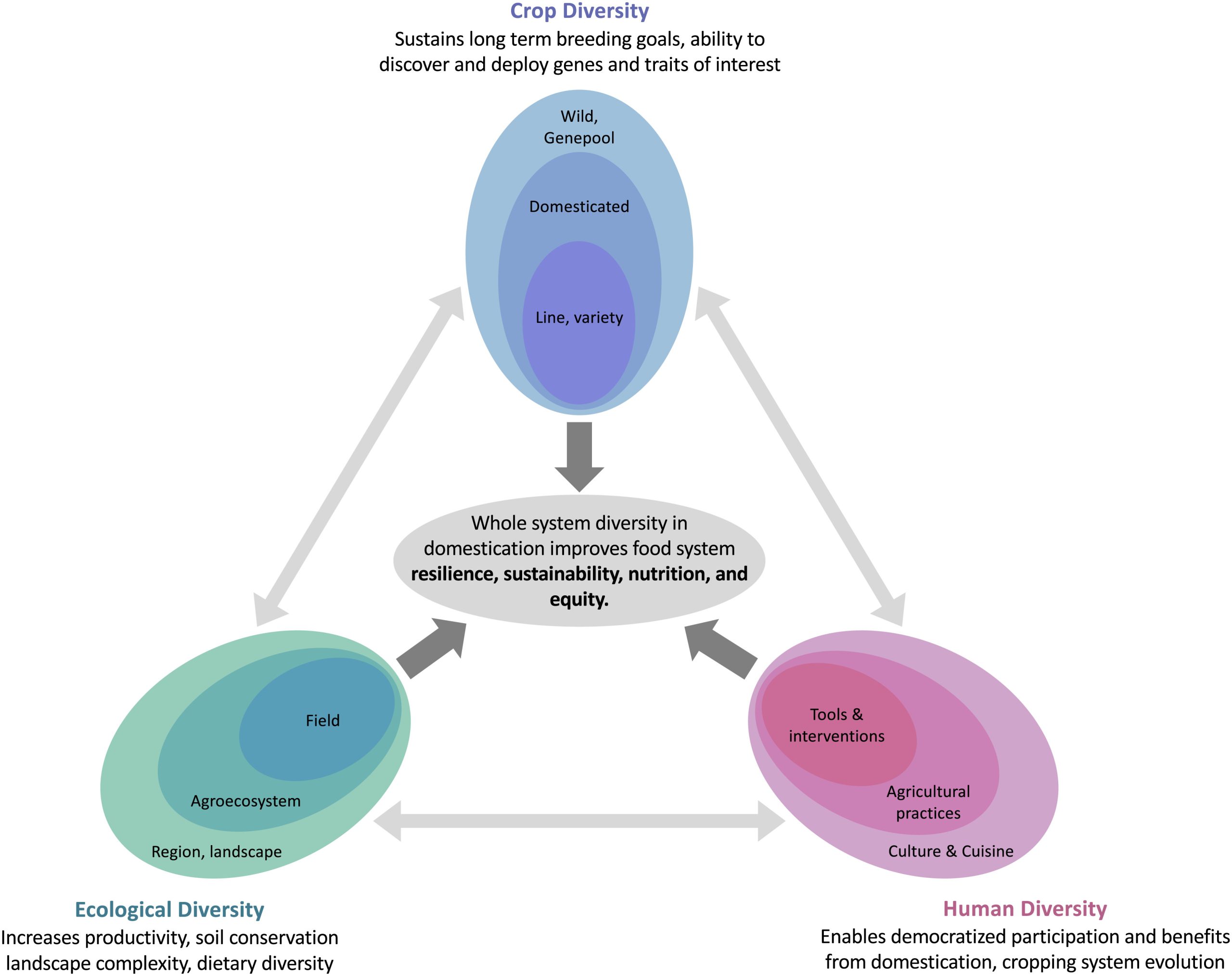 Special Feature Harnessing Crop Diversity Plantae