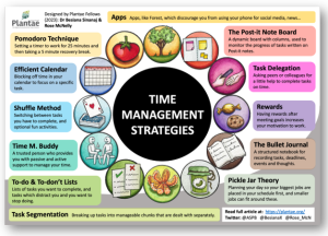 12 Time Management Strategies for Researchers  Plantae