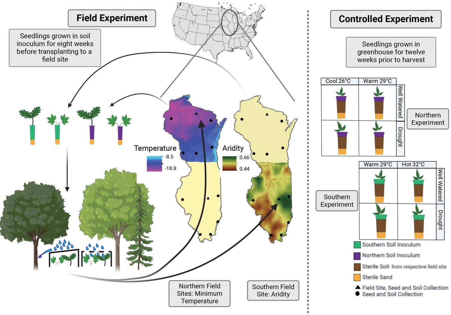 Shifting microbial communities can enhance tree tolerance to changing
