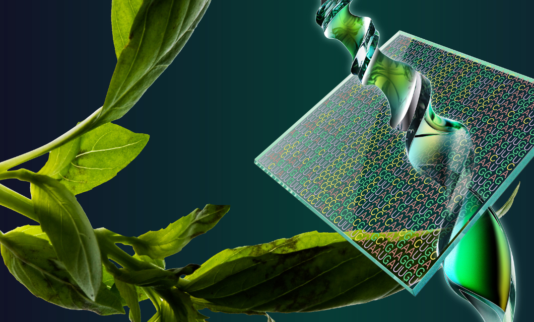 Decoding The Code With R Plantae