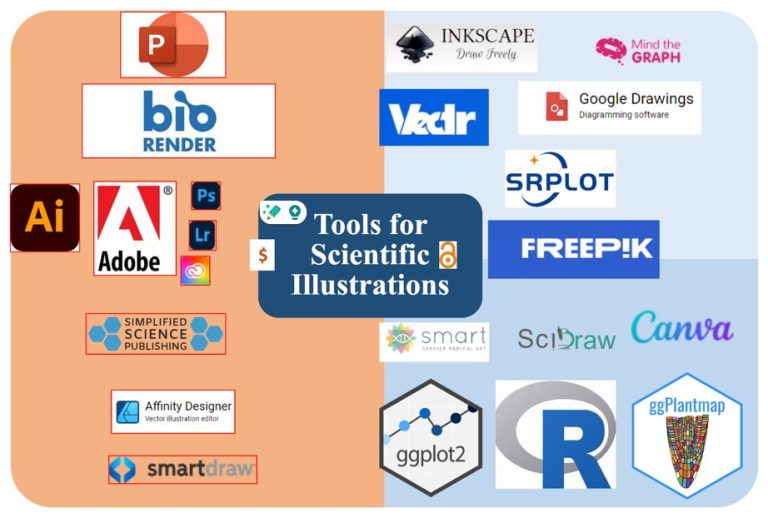 Plantae Bridging Science and Art The Journey to a