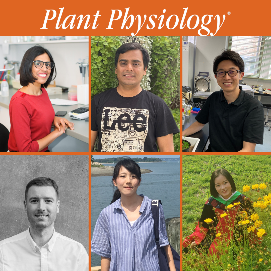 Plant physiology spotlights october first authors plantae