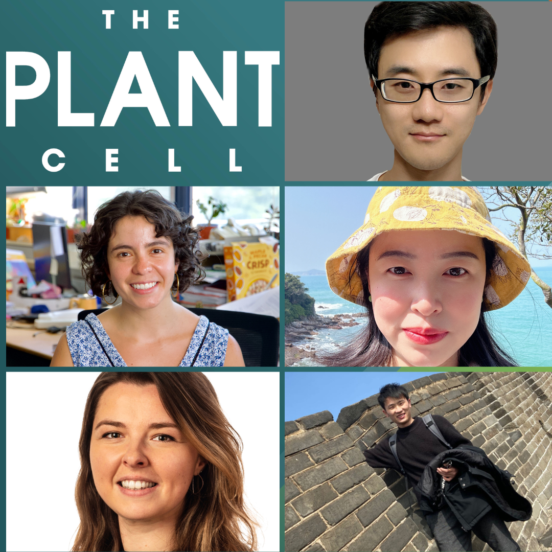 Plantae | The Plant Cell Features October First Authors | Plantae