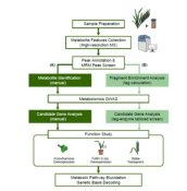 A novel way to conduct genome wide association studies for secondary ...