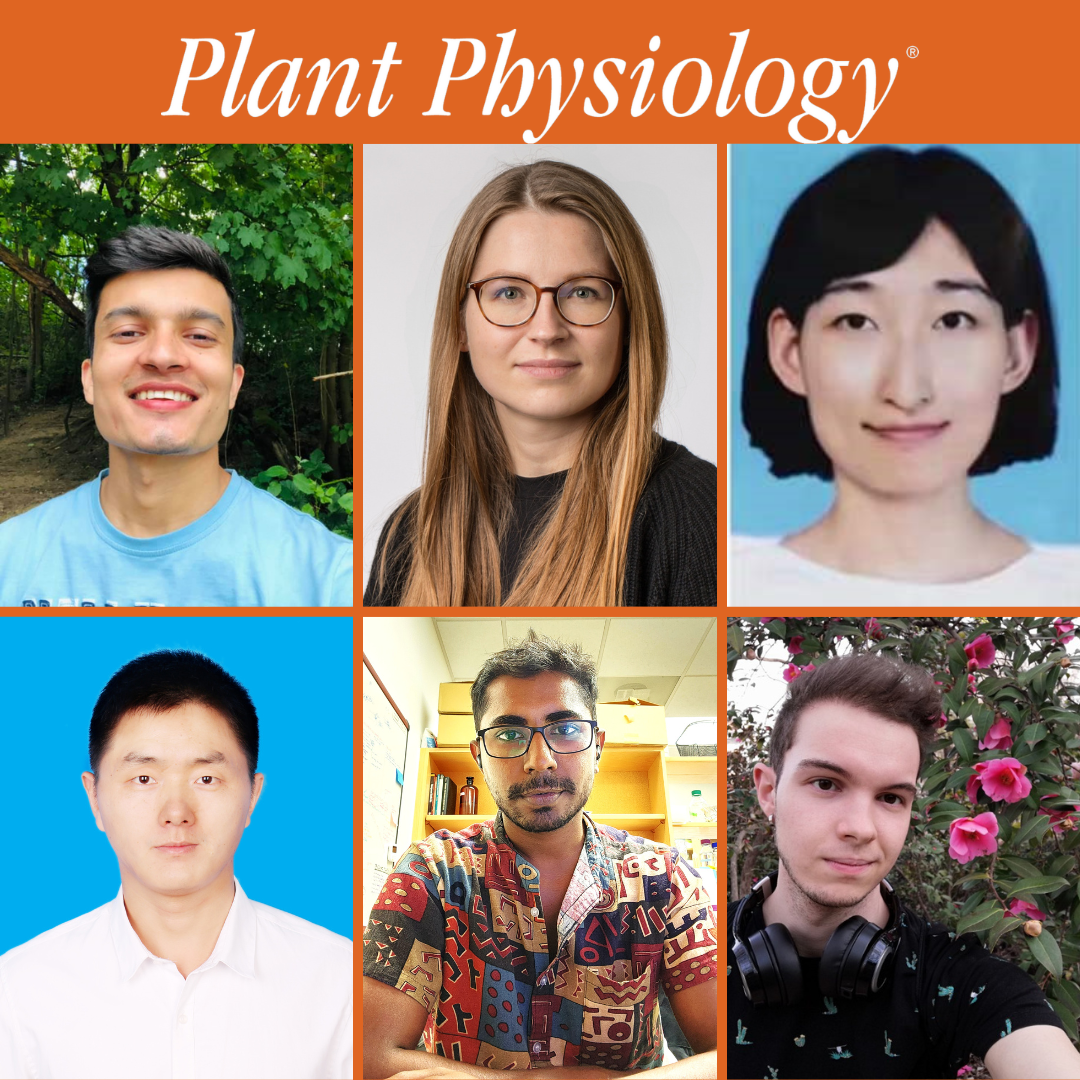 Plant Physiology Spotlights November First Authors | Plantae