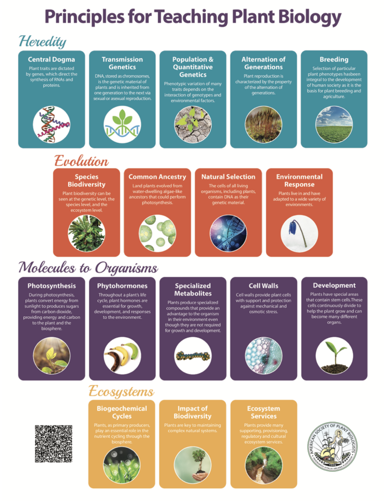 Plant Genetics In Farming Technology and Science | Plantae