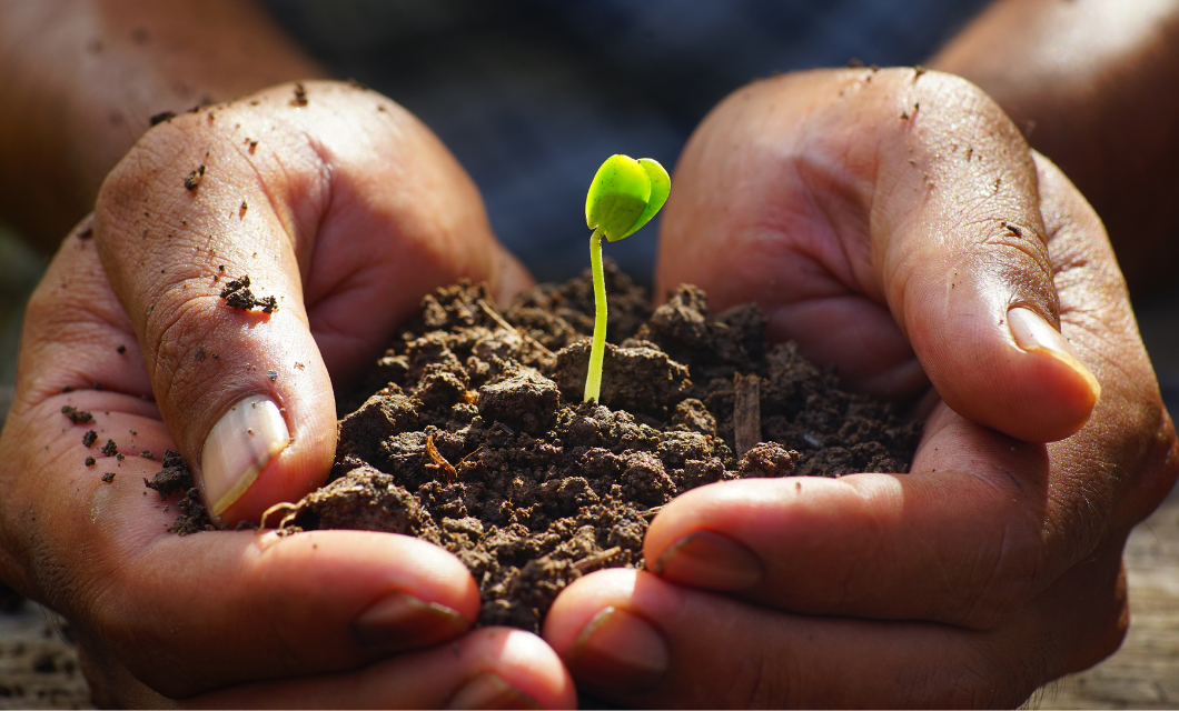 The Role of Outreach Activities in Professional Growth as a Plant Scientist