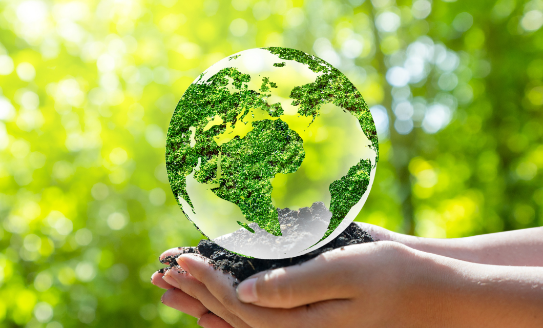Terraforming with Plants Can Green Life Make Mars Habitable