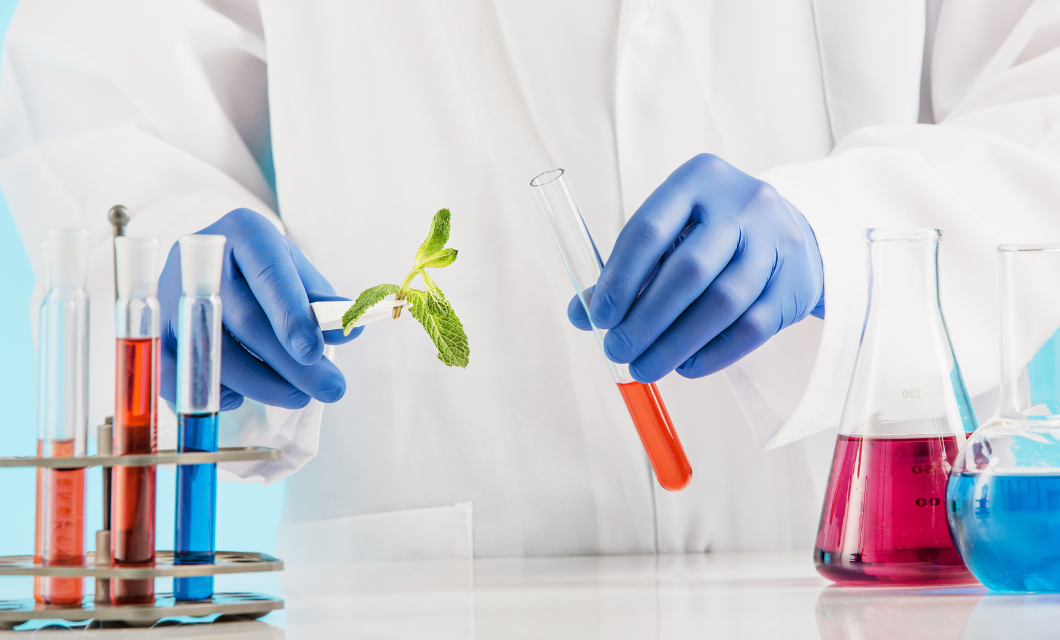 Avenues and Strategies for Attracting Students to a New Lab